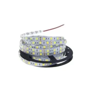 WhiteRose 4 MT LED