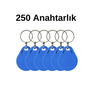 250 Adet Manyetik Proximity Anahtarlık